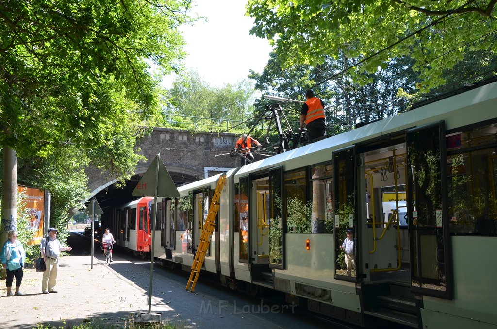 KVB Bahn defekt Koeln Buchheim Heidelbergerstr P64.JPG - Miklos Laubert